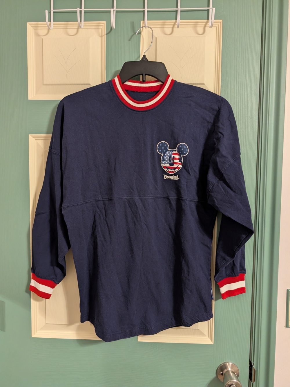 Disneyland American Flag Spirit Jersey